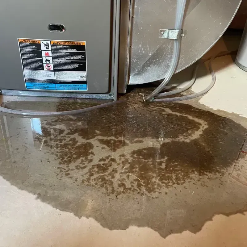 Appliance Leak Cleanup in Warrensburg, NY